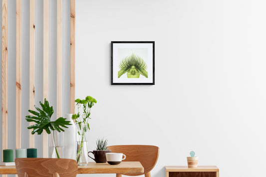 Green Slipper Orchid Print
