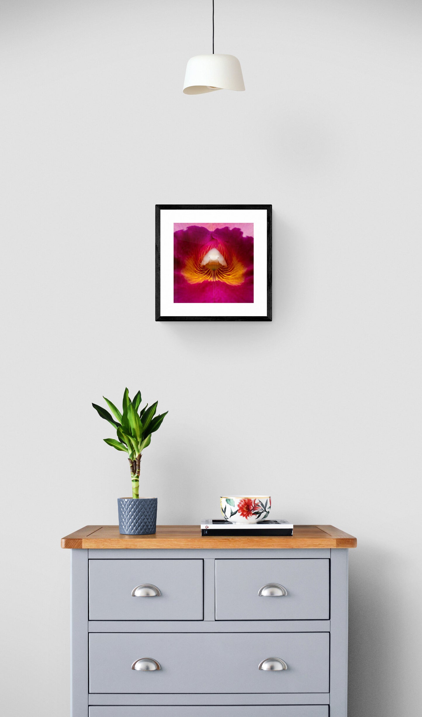 Pink Cattleya Close-up Print