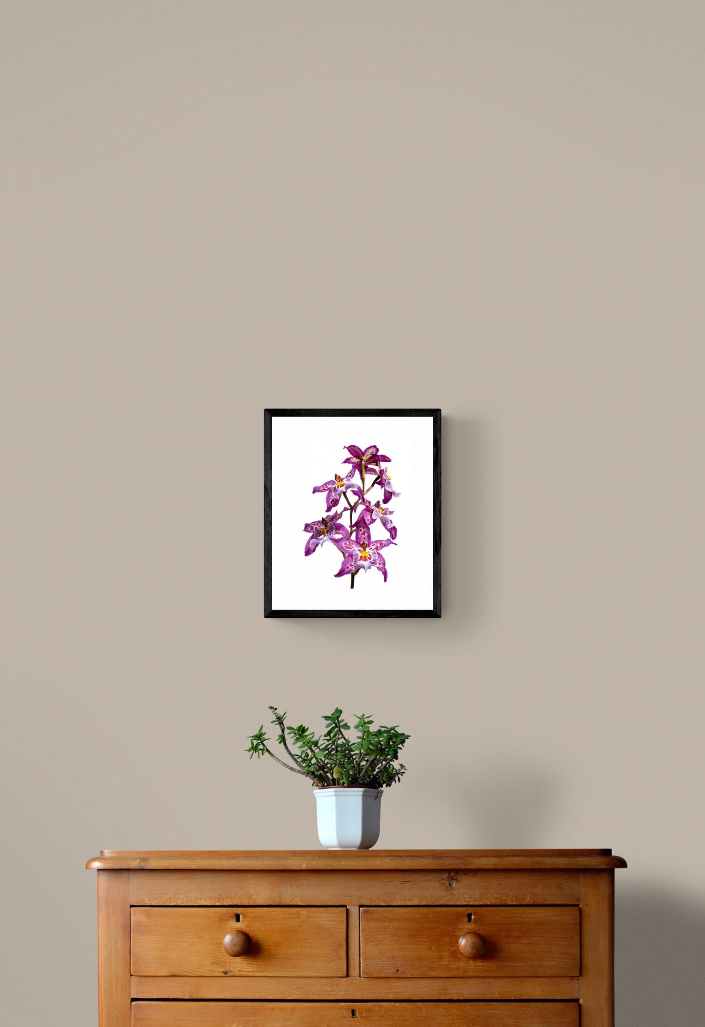Purple Oncidium Orchid Print