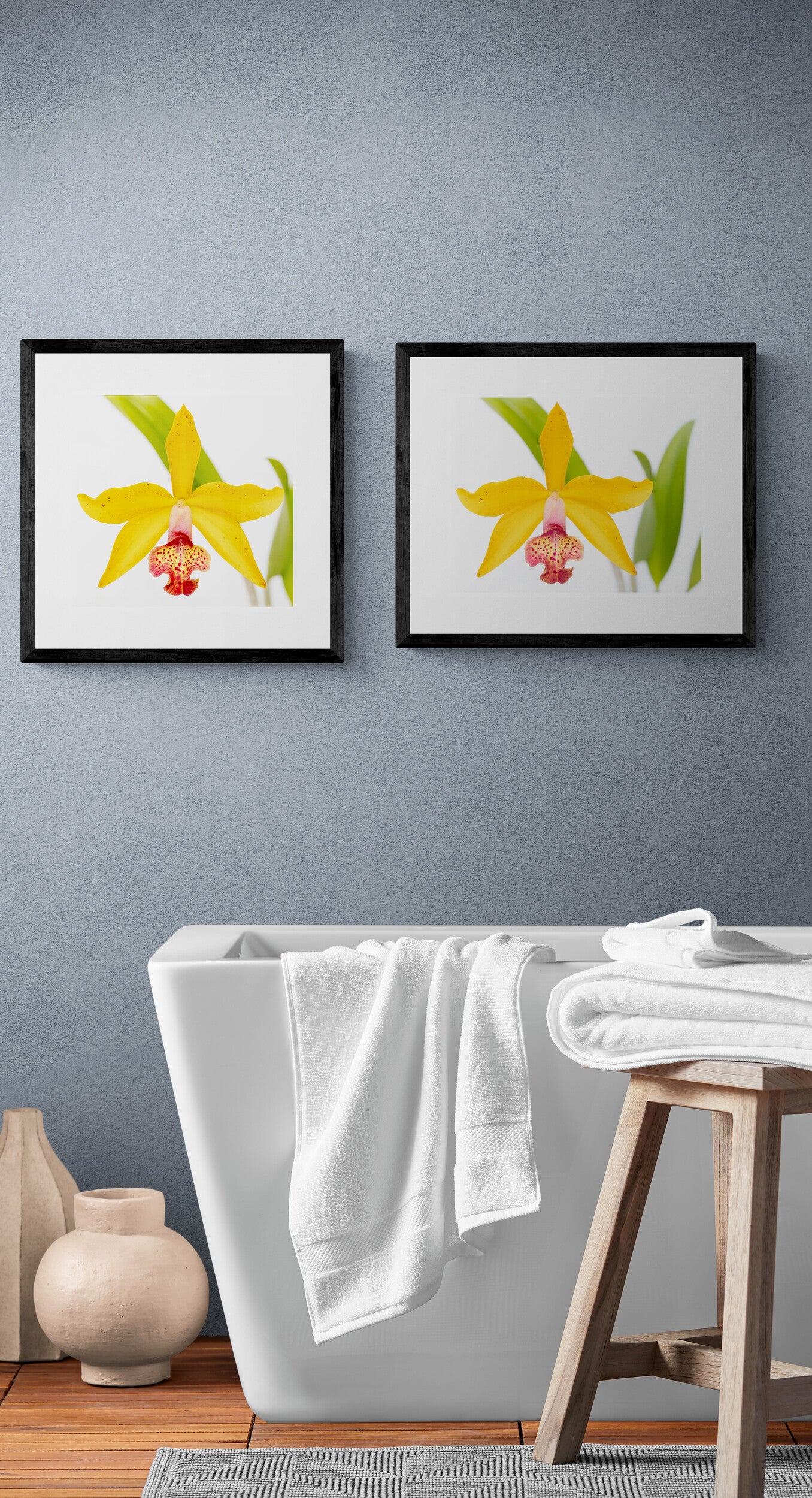 Yellow Cattleya Orchid Print