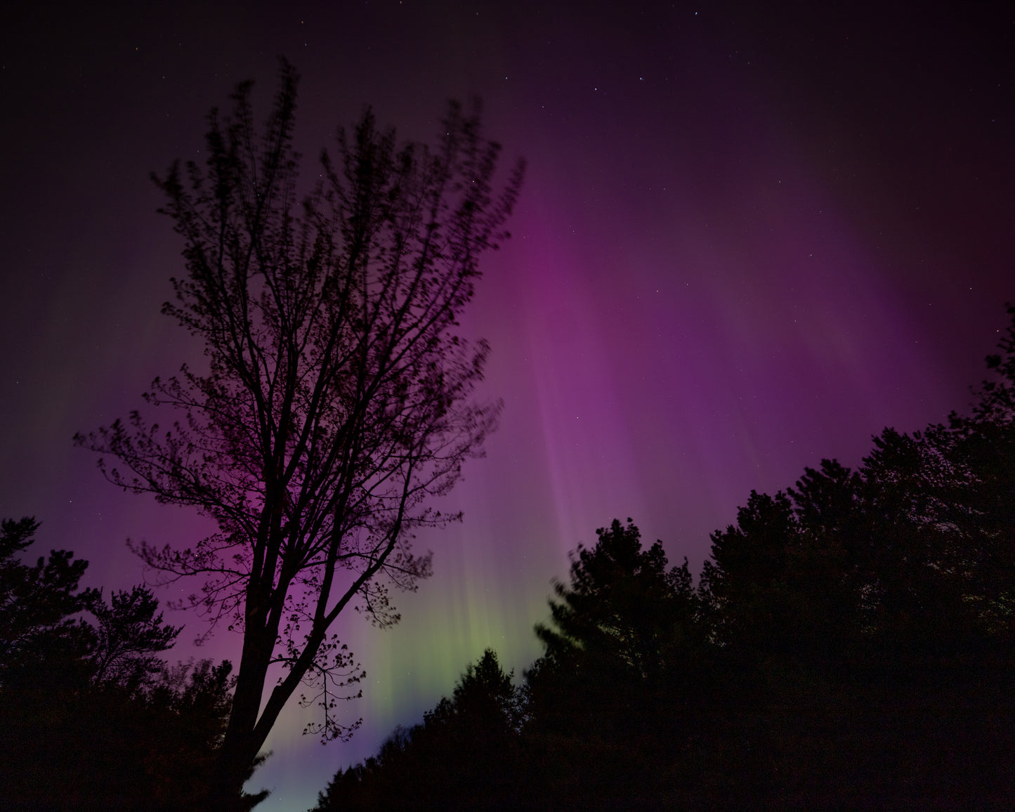 Aurora I Print