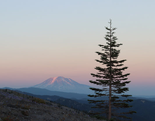 Mountain Sunset Print
