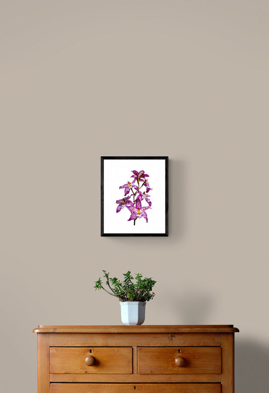 Purple Oncidium Orchid Print