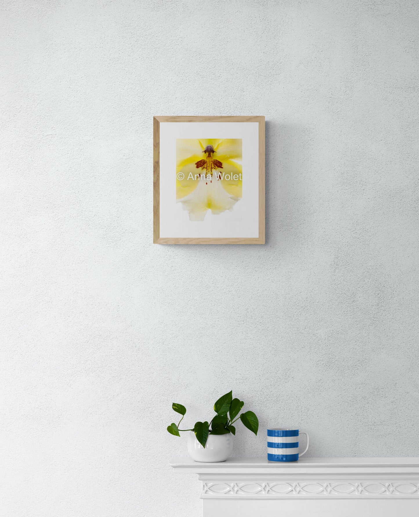 Yellow Oncidium Orchid Print